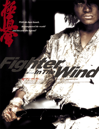 Poster de Baramui Fighter (Fighter in the Wind)