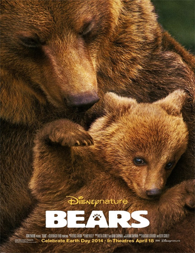 Poster de Bears (Osos)