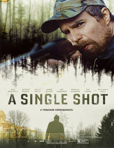 Poster de A Single Shot