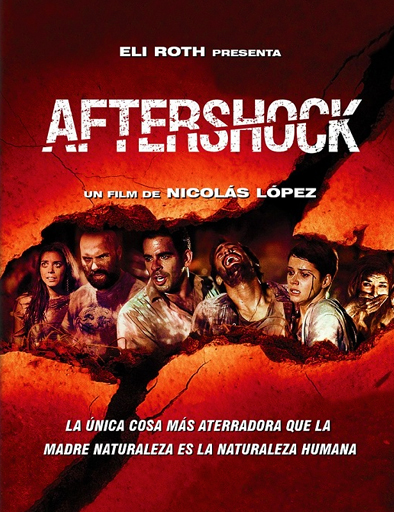 Poster de Aftershock