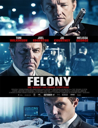 Poster de Felony (El rastro del delito)