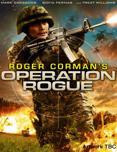 Poster de Operación Rogue