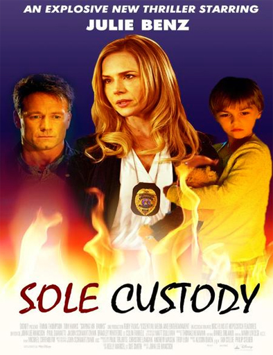 Poster de Sole Custody