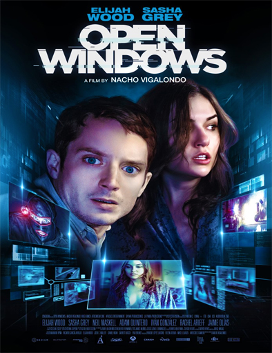Poster de Open Windows