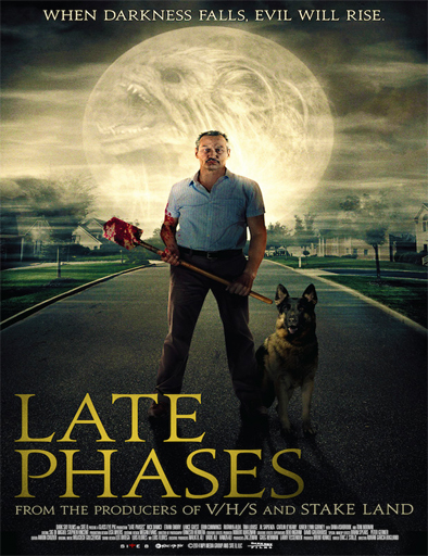 Poster de Late Phases