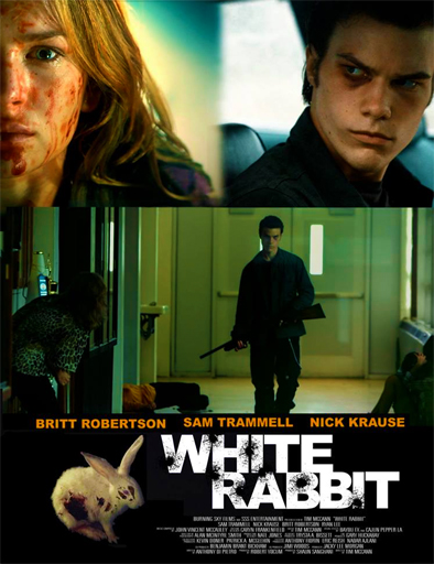 Poster de White Rabbit