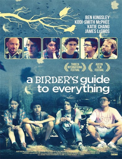 Poster de A Birder's Guide to Everything