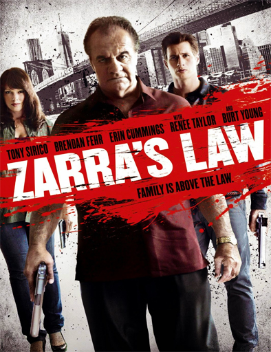 Poster de Zarra's Law