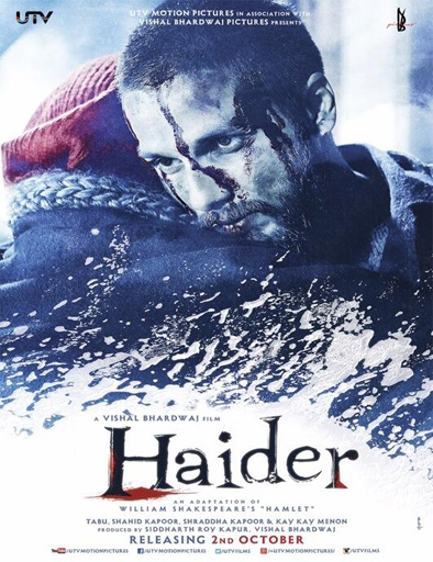 Poster de Haider