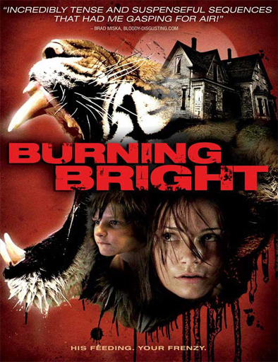 Poster de Burning Bright (Atrapada)
