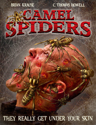 Poster de Camel Spiders (Arañas del desierto)