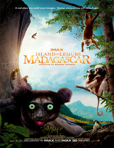 Poster de Island of Lemurs: Madagascar