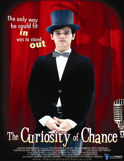 Poster de The Curiosity of Chance
