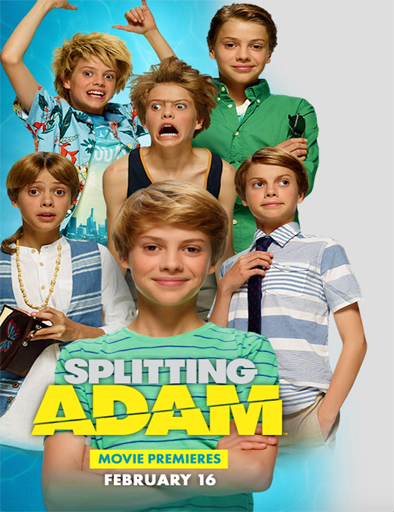 Poster de Splitting Adam