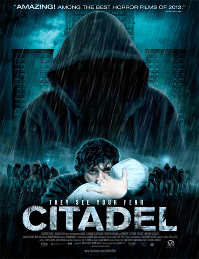 Poster de Citadel