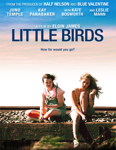 Poster de Little birds