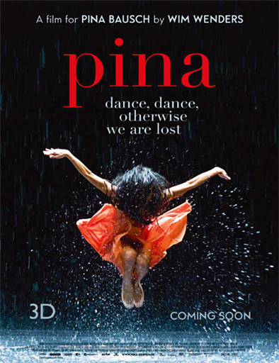 Poster de Pina