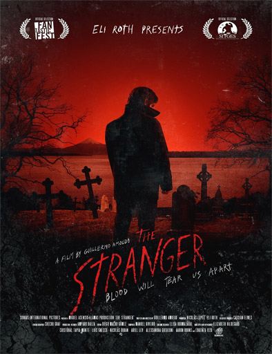 Poster de The Stranger (La maldición)