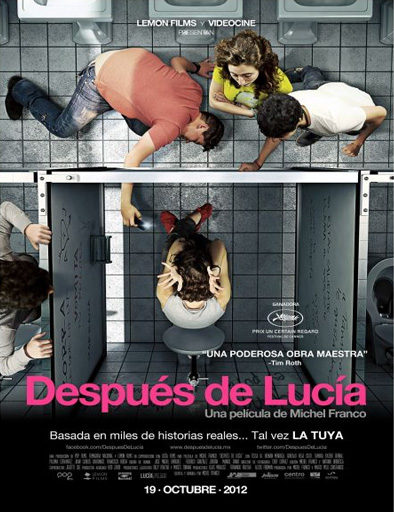 Poster de Después de Lucía