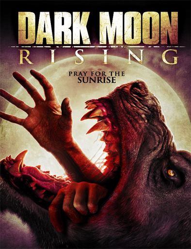 Poster de Dark Moon Rising