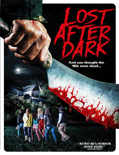 Poster de Lost After Dark