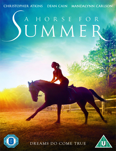 Poster de A Horse for Summer