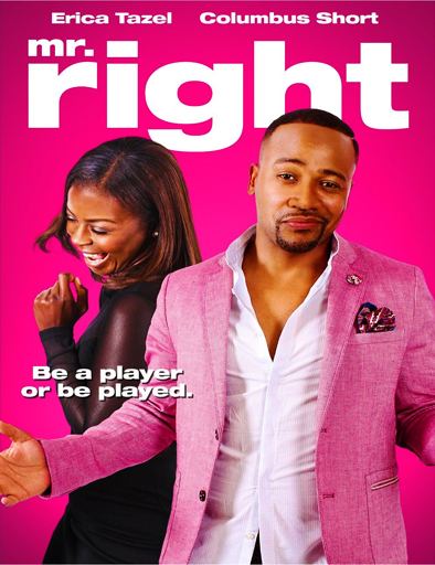 Poster de Mr Right