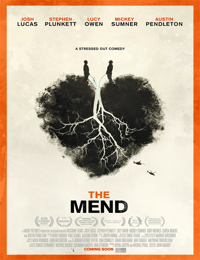 Poster de The Mend