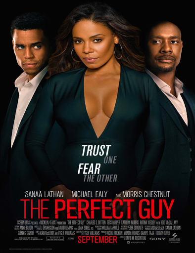 Poster de The Perfect Guy (El chico ideal)