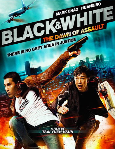 Poster de Black and White Episode 1: The Dawn of Assault