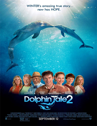 Poster de Dolphin Tale 2 (Winter: El delfín 2)