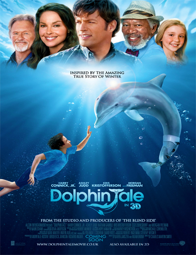 Poster de Dolphin Tale (Winter: El delfín)