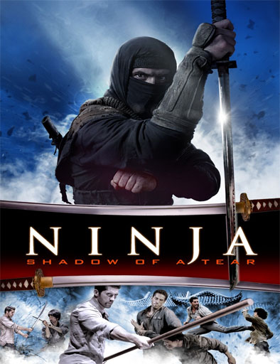 Poster de Ninja II: La venganza del guerrero