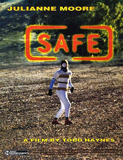 Poster de Safe