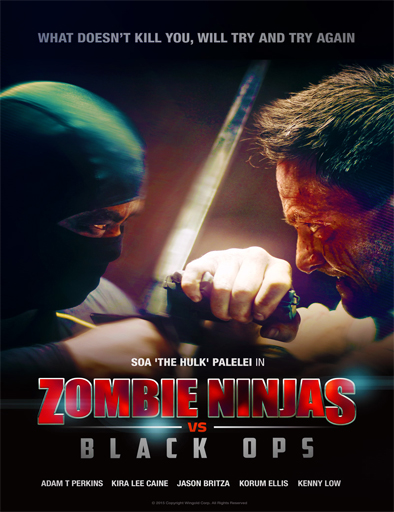 Poster de Zombie Ninja vs Black Ops