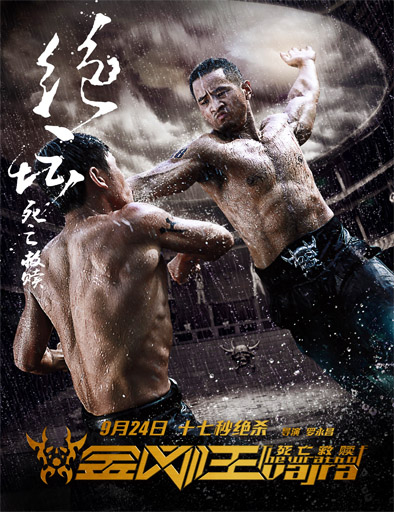 Poster de Jin Gang Wang (The Wrath of Vajra)