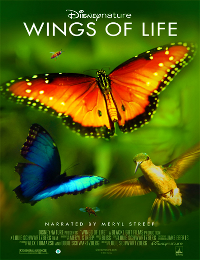 Poster de Wings of Life (Alas de la vida)