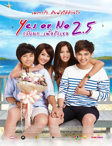 Poster de Yes or No 2.5