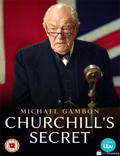 Poster de Churchill's Secret
