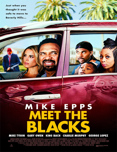 Poster de Meet the Blacks