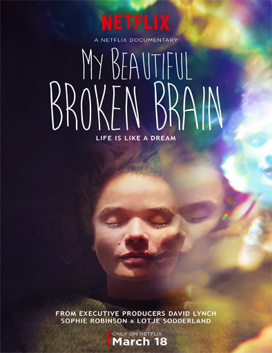 Poster de My Beautiful Broken Brain