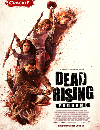 Poster de Dead Rising: Endgame
