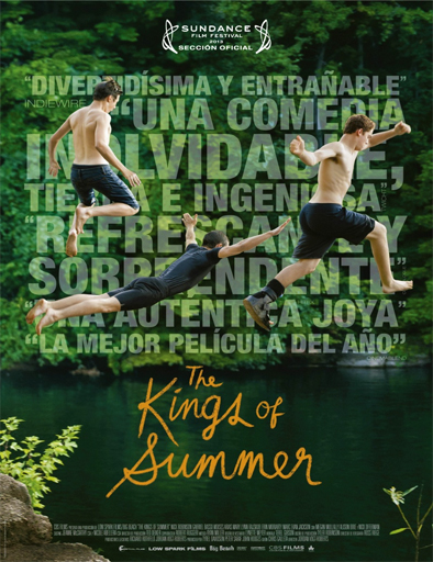 Poster de The Kings of Summer
