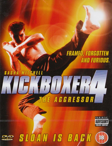 Poster de Kickboxer 4: El agresor