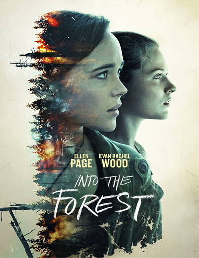 Poster de Into the Forest (En el bosque)
