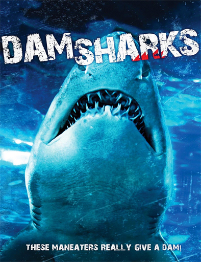 Poster de Dam Sharks
