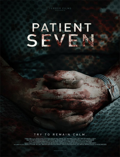 Poster de Patient Seven