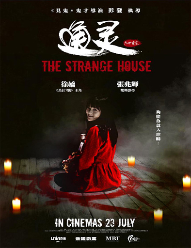 Poster de The Strange House