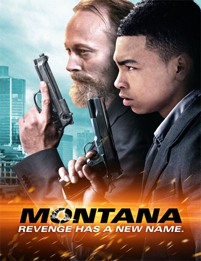 Poster de Montana