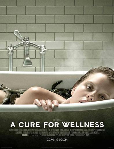 Poster de La cura del bienestar